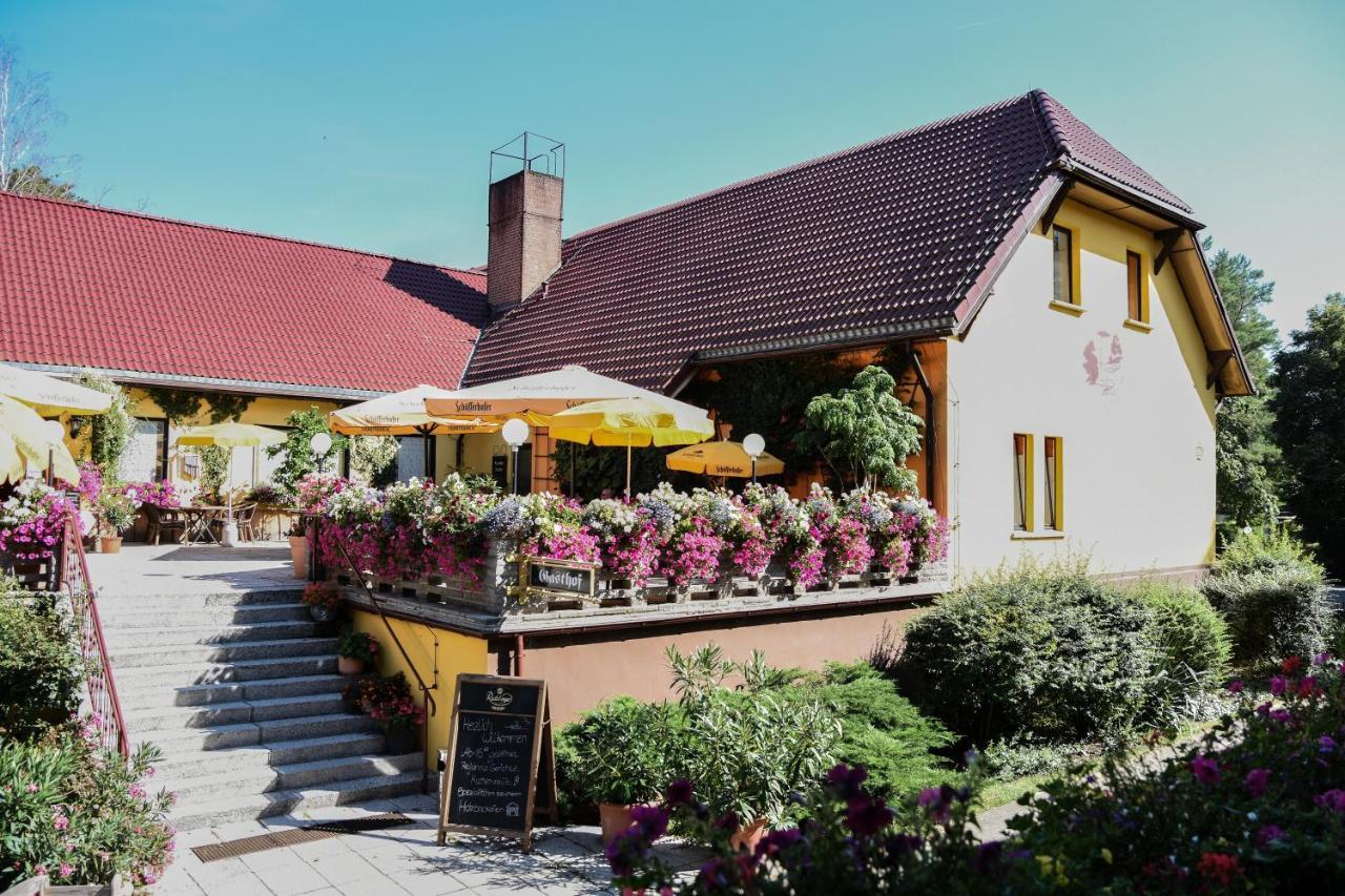 Seehof Netzen Lehnin Dış mekan fotoğraf