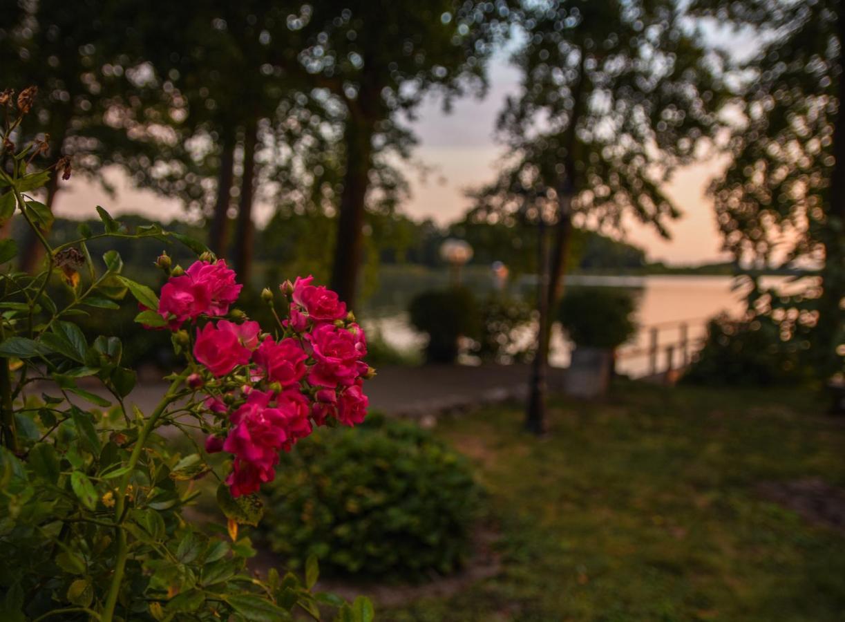 Seehof Netzen Lehnin Dış mekan fotoğraf